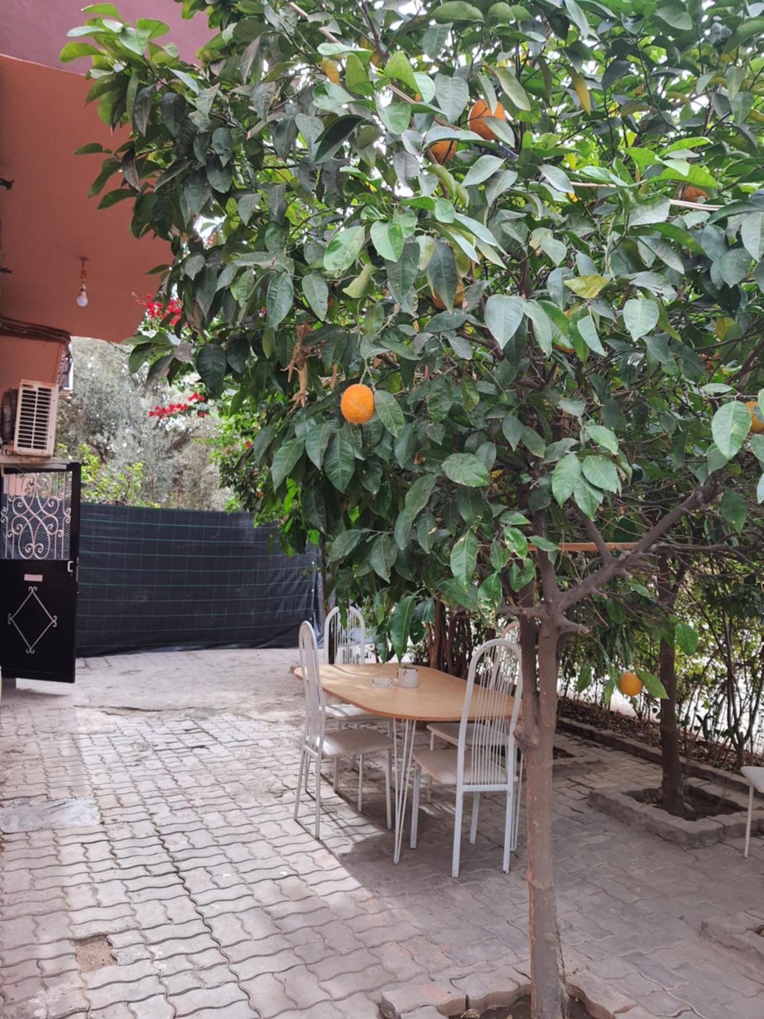 Appartamento Marrakech Marrakesh Esterno foto